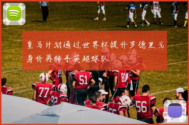 皇马计划通过世界杯提升罗德里戈身价再转手英超球队